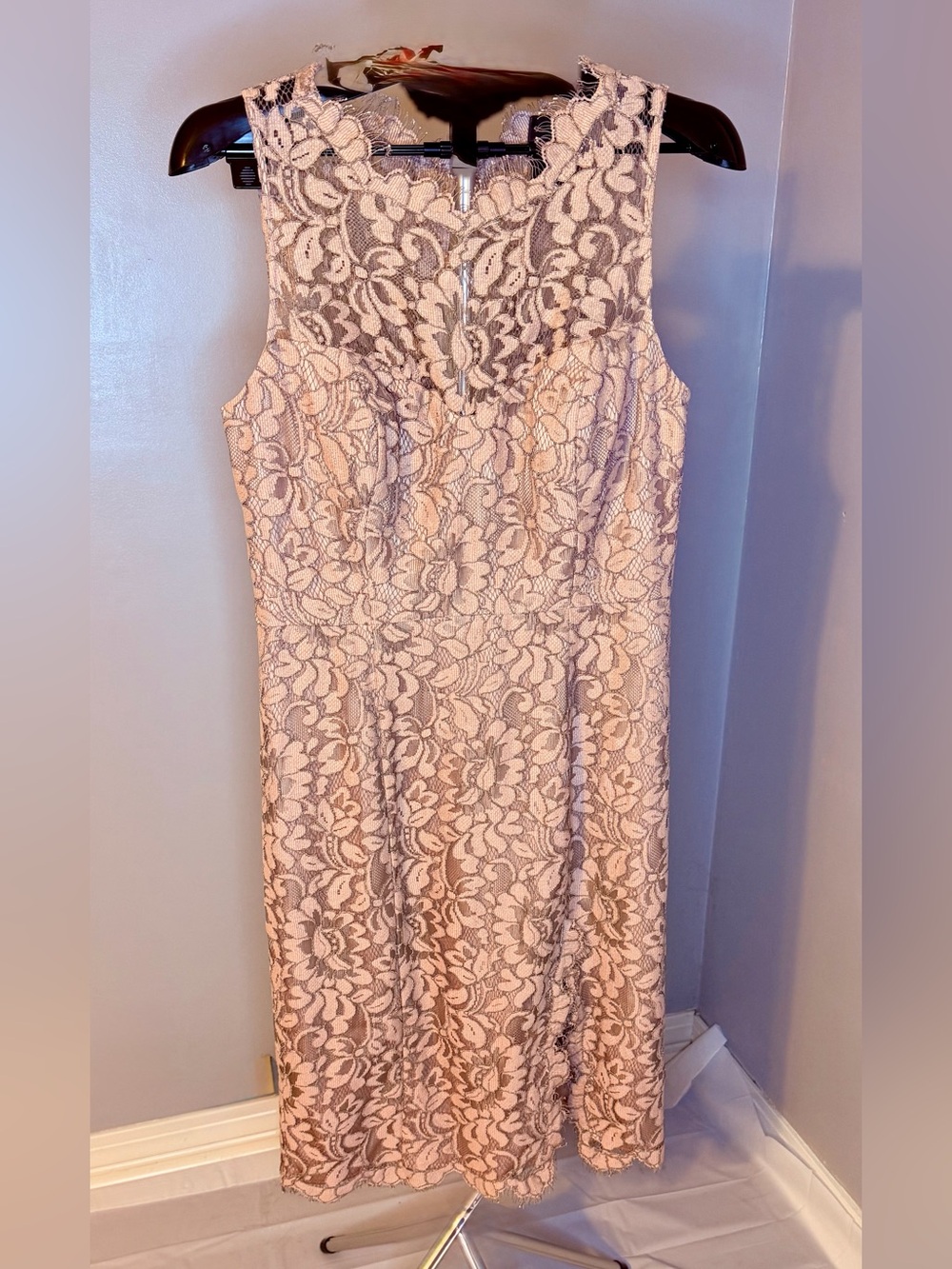 Eliza J Pink Lace Midi Sheath Dress